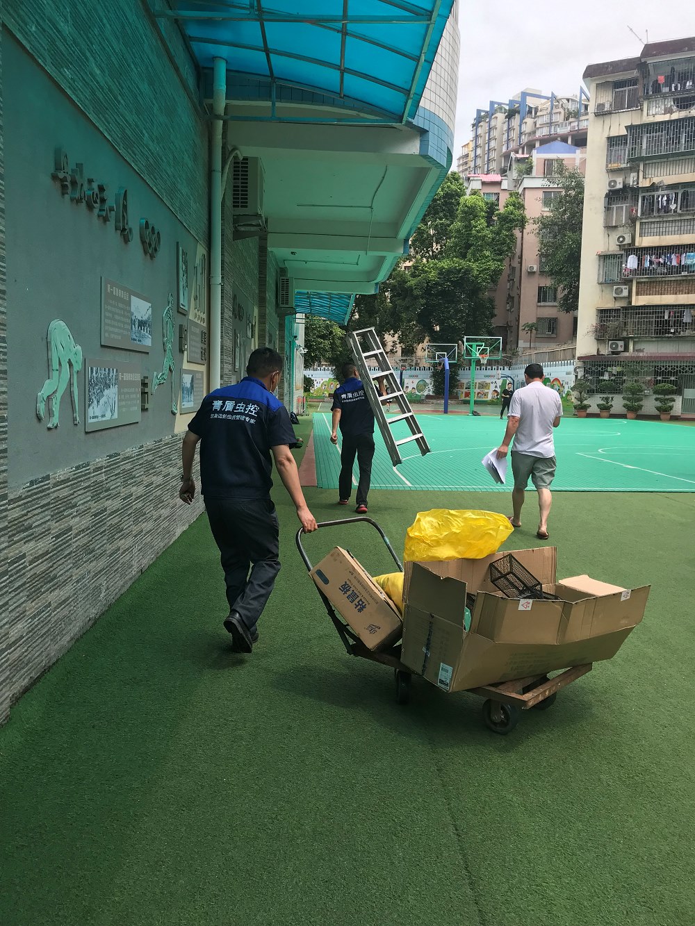 学校-除虫灭鼠防治案例