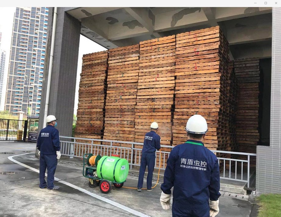 中海物流-除虫灭鼠防治案例